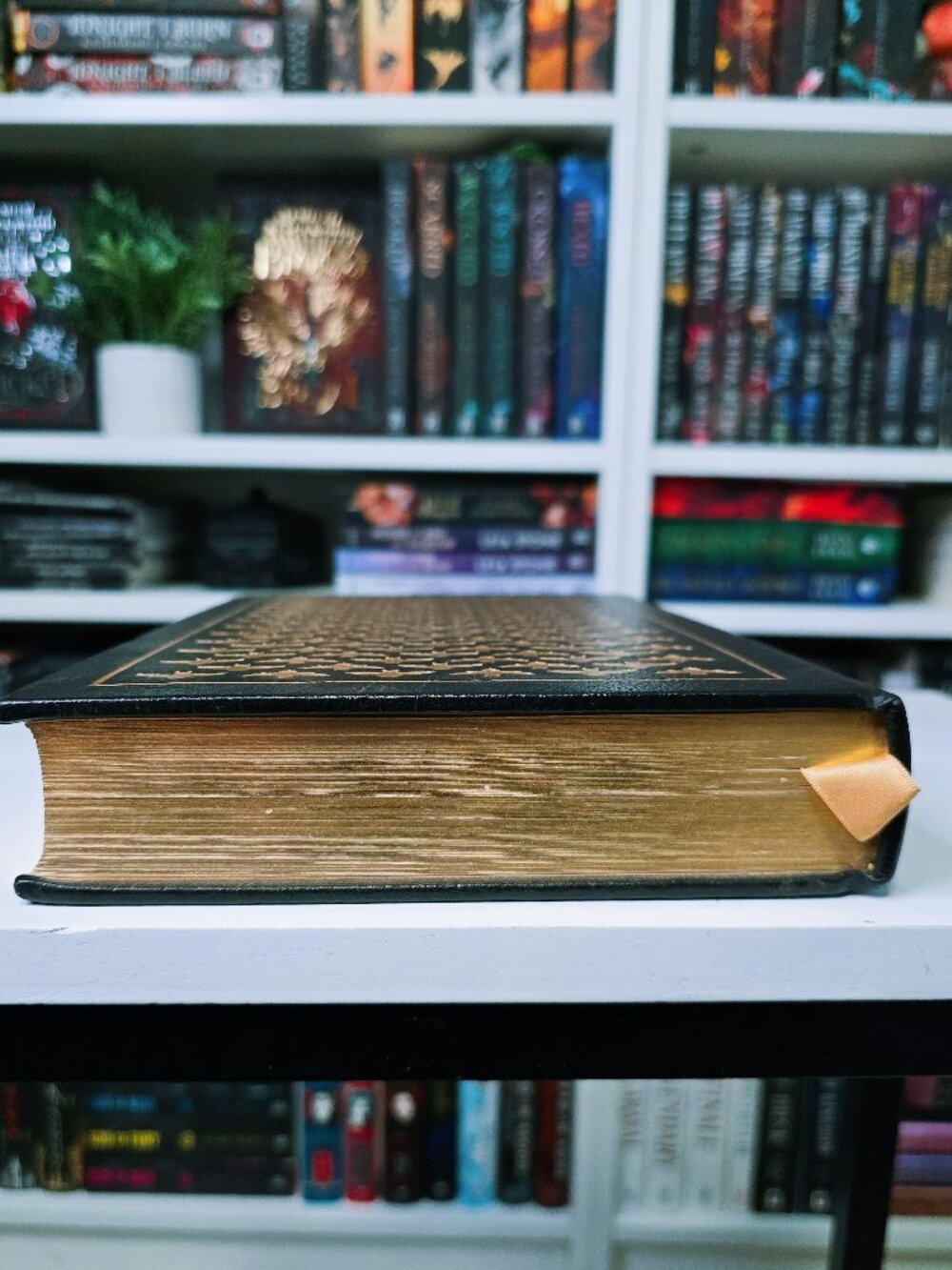 RARE DRACULA Leather Bound Collectors Edition - Picture 7 of 12